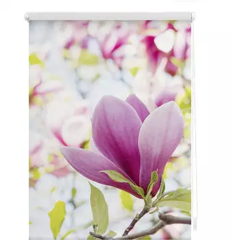 Lichtblick Klemmrollo ohne Bohren Magnolie 45x150cm