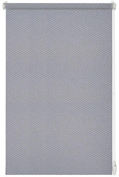 Gardinia EasyFix Rollo Shaun 60x160 cm Hellgrau