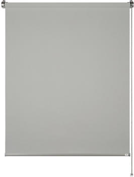 Sch&ouml;ner Wohnen Tageslicht-Rollo Tizia 60x150 cm Hellgrau