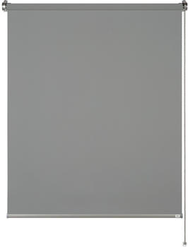 Schöner Wohnen Tageslicht-Rollo Tizia 75x150 cm Anthrazit