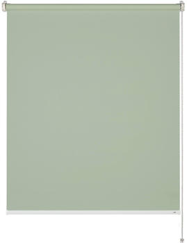 Schöner Wohnen Tageslicht-Rollo Tizia 45x150 cm Grün