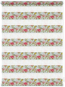 Lichtblick Duo Rollo Klemmfix 70x150cm Birds Lichtblick Duo Rollo Klemmfix 70x150cm Birds