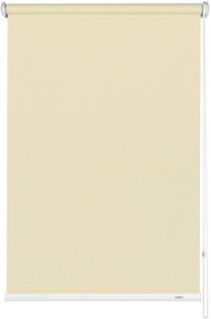 Gardinia Seitenzug-Rollo Lichtdurchl&auml;ssig Uni 182x180cm Champagner