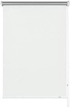 Gardinia Verdunkelungsrollo Thermo Streifen 112x180cm weiß