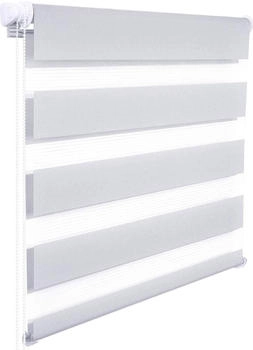 Woltu Doppelrollo 75x150cm (VH5550gr)