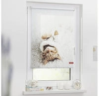 LICHTBLICK ORIGINAL Seitenzugrollo "Klemmfix Digital Sleepy Cat" verdunkelnd