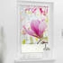 Lichtblick Magnolie rosa B/L: ca. 100x150 cm