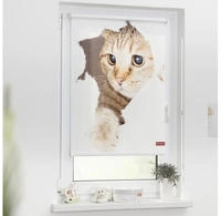 LICHTBLICK ORIGINAL Seitenzugrollo "Klemmfix Digital Katze" verdunkelnd