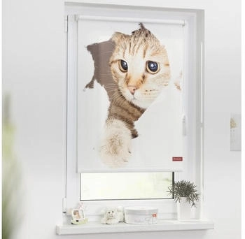 Lichtblick Katze wei&szlig; B/L: ca. 120x150 cm