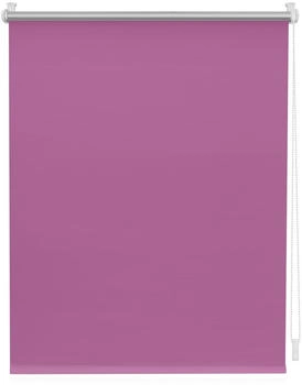 Lichtblick Thermo Klebe-/Klemmrollo 60x220cm fuchsia