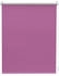 Lichtblick Thermo Klebe-/Klemmrollo 50x150cm fuchsia