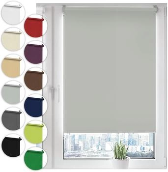 Sonello Seitenzugrollo 45x100cm hellgrau