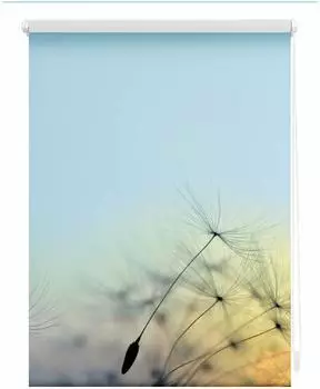 Lichtblick Pusteblume 120x150cm