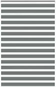 vidaXL Doppelrollo dunkelgrau 150x230cm, Polyester (4014193)