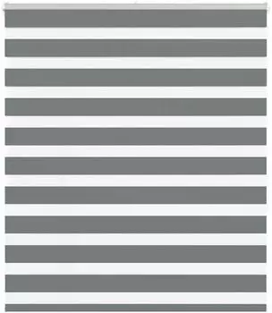 vidaXL Doppelrollo dunkelgrau 120x150cm, Polyester (4014135)