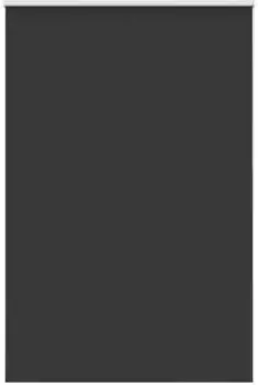 vidaXL Verdunkelungsrollo schwarz 165x210cm, Stoffbreite 161,6cm (4010933)