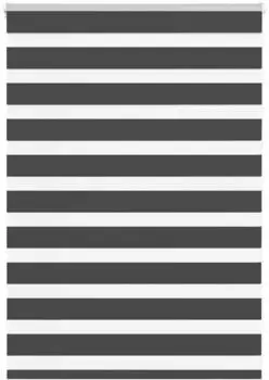 vidaXL Doppelrollo schwarz 110x100cm, Polyester (4014211)