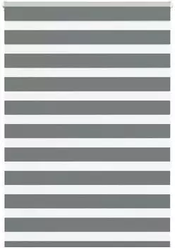 vidaXL Doppelrollo dunkelgrau 110x150cm, Polyester (4014133)