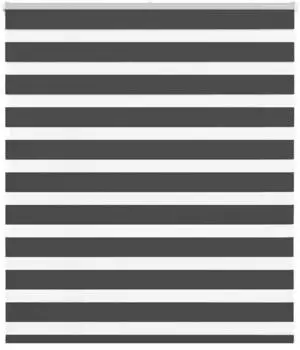 vidaXL Doppelrollo schwarz 125x100cm, Polyester (4014214)