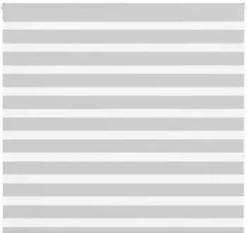 vidaXL Doppelrollo hellgrau 155x150cm, Polyester, Stoffbreite 150,9cm (4014454)