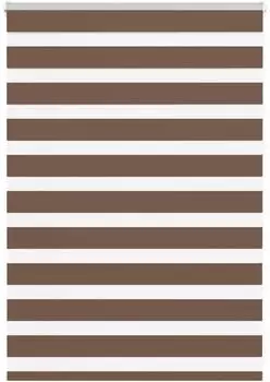 vidaXL Doppelrollo braun 100x100cm, Polyester (4014313)