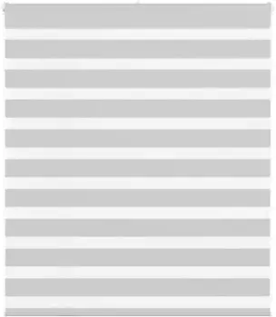 vidaXL Doppelrollo hellgrau 120x100cm, Polyester (4014421)