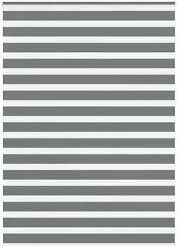vidaXL Doppelrollo dunkelgrau 160x230cm, Polyester (4014195)