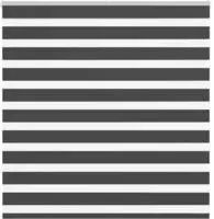 vidaXL Doppelrollo Schwarz 150x150 cm Stoffbreite 145,9 cm Polyester