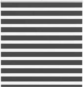 vidaXL Doppelrollo schwarz 150x150cm, Polyester (4014245)