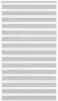 vidaXL Doppelrollo Hellgrau 125x200 cm Stoffbreite 120,9 cm Polyester