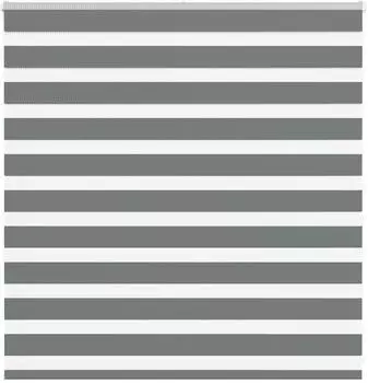 vidaXL Doppelrollo dunkelgrau 150x100cm, Polyester (4014115)