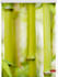 Lichtblick Klemmrollo ohne Bohren Bambus 100x150cm