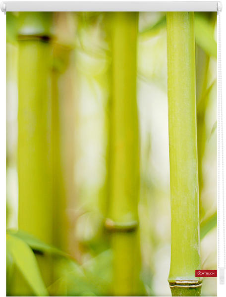 Lichtblick Klemmrollo ohne Bohren Bambus 120x150cm
