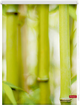 Lichtblick Klemmrollo ohne Bohren Bambus 90x150cm