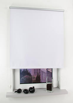 Liedeco Seitenzugrollo Easy Lichtschutz 102x180cm silberfarben-weiß