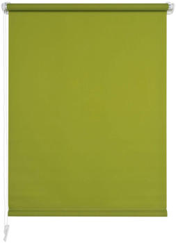 Liedeco Seitenzugrollo Klemmfix 100x150cm grün