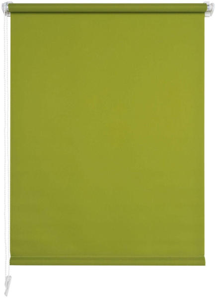 Liedeco Seitenzugrollo Klemmfix 80x150cm grün