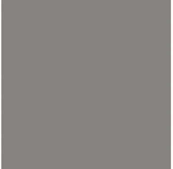 Velux Verdunkelungsrollo Uni Grau 0705, 66x98 cm (204)