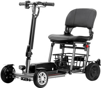 Eneway Muvy 4-Rad Elektromobil 6 km/h