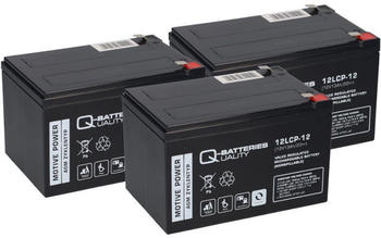 Q-Batteries 12LCP-12 12V-13Ah AGM Blei Akku für Eco Mobil 15 QB (3 Stk.)