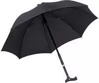Stockschirm Regenschirm eingebauter Gehstock schwarz klein 1 St