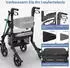 Eloneo 2in1 Rollstuhl Rollator Schwarz 1 St
