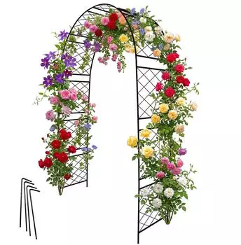 Relaxdays Rosenbogen Metall, 240x140x50cm, schwarz (10052897_0)