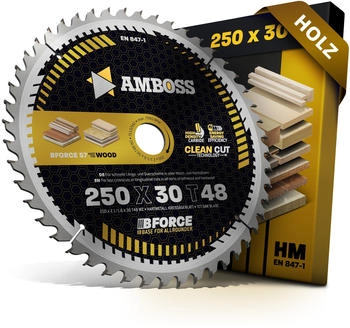 Amboss HM - 250 x 2.1/1.6 x 30 Z48 WZ