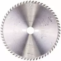 BOSCH Kreiss&auml;geblatt Expert for Wood Wechselzahn positiv - 250 mm , 60