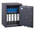 Format Gemini Pro Series