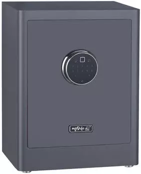 Basi mySafe Premium 450 Möbeltresor Zahlenschloss Fingerabdruckschloss Grau (2020-0001-1200)