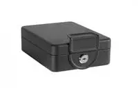 ARREGUI Private C9427 Geldkassette mit Sicherungskabel aus Stahl und