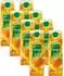 Dennree Bio-Orangensaft Direktsaft