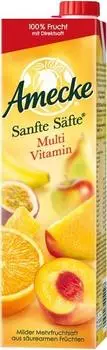 Amecke Sanfte Säfte Multivitamin 1L